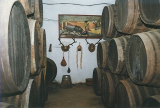 dentro de la bodega.jpg